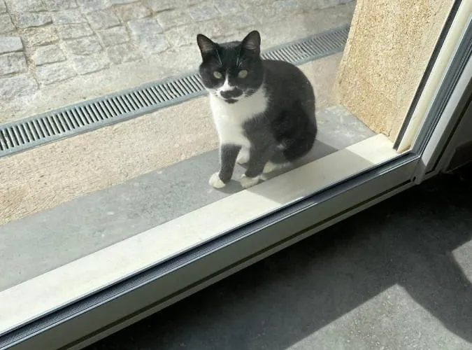 Villa Mas La Resse Tresques